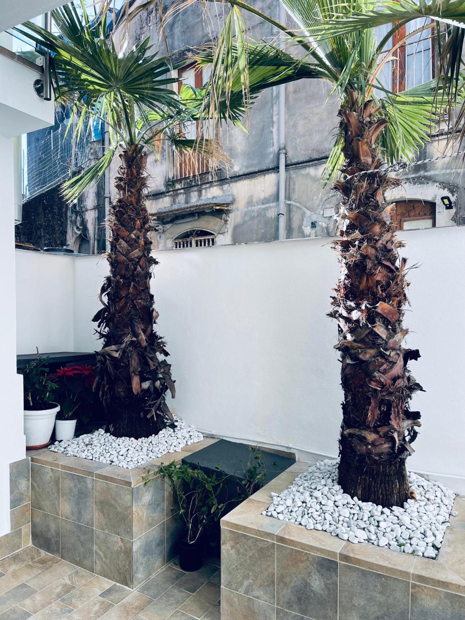 King House Catania Hostel Ostello Dış mekan fotoğraf